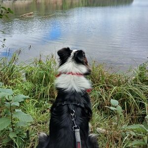 Meet your Posher, Britney